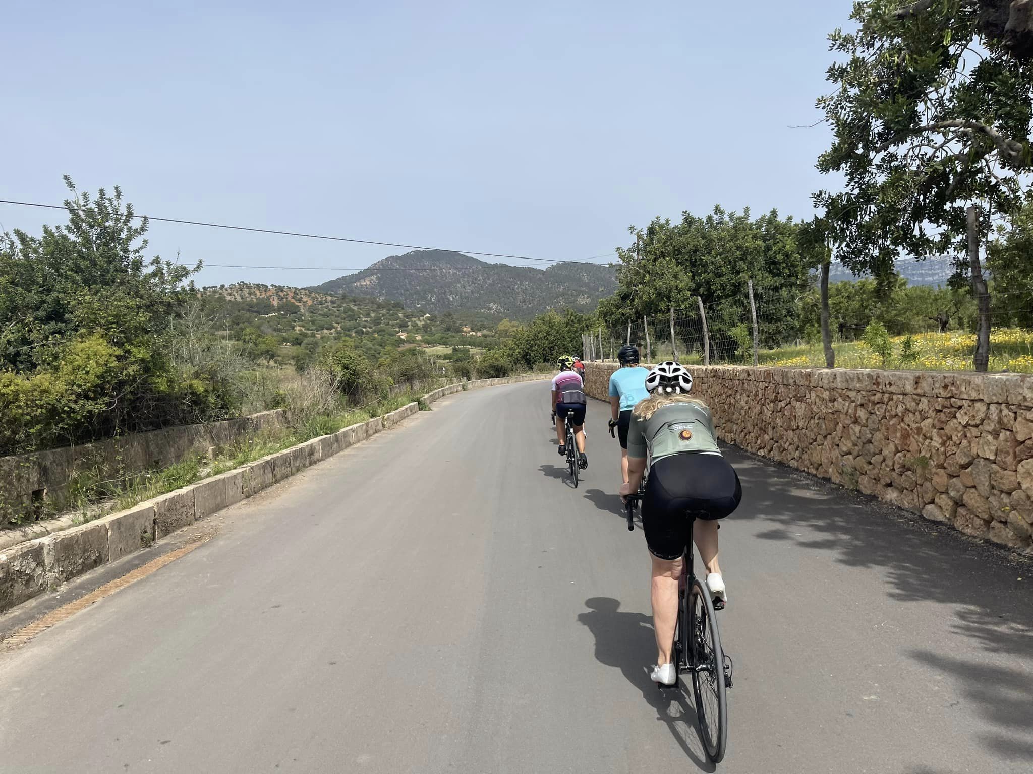 435999916_732729305684728_8111743223659316058_n