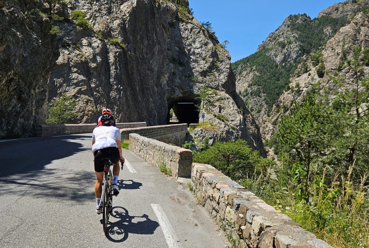 cf318c2a-d6cc-47d7-8742-24c545adf439