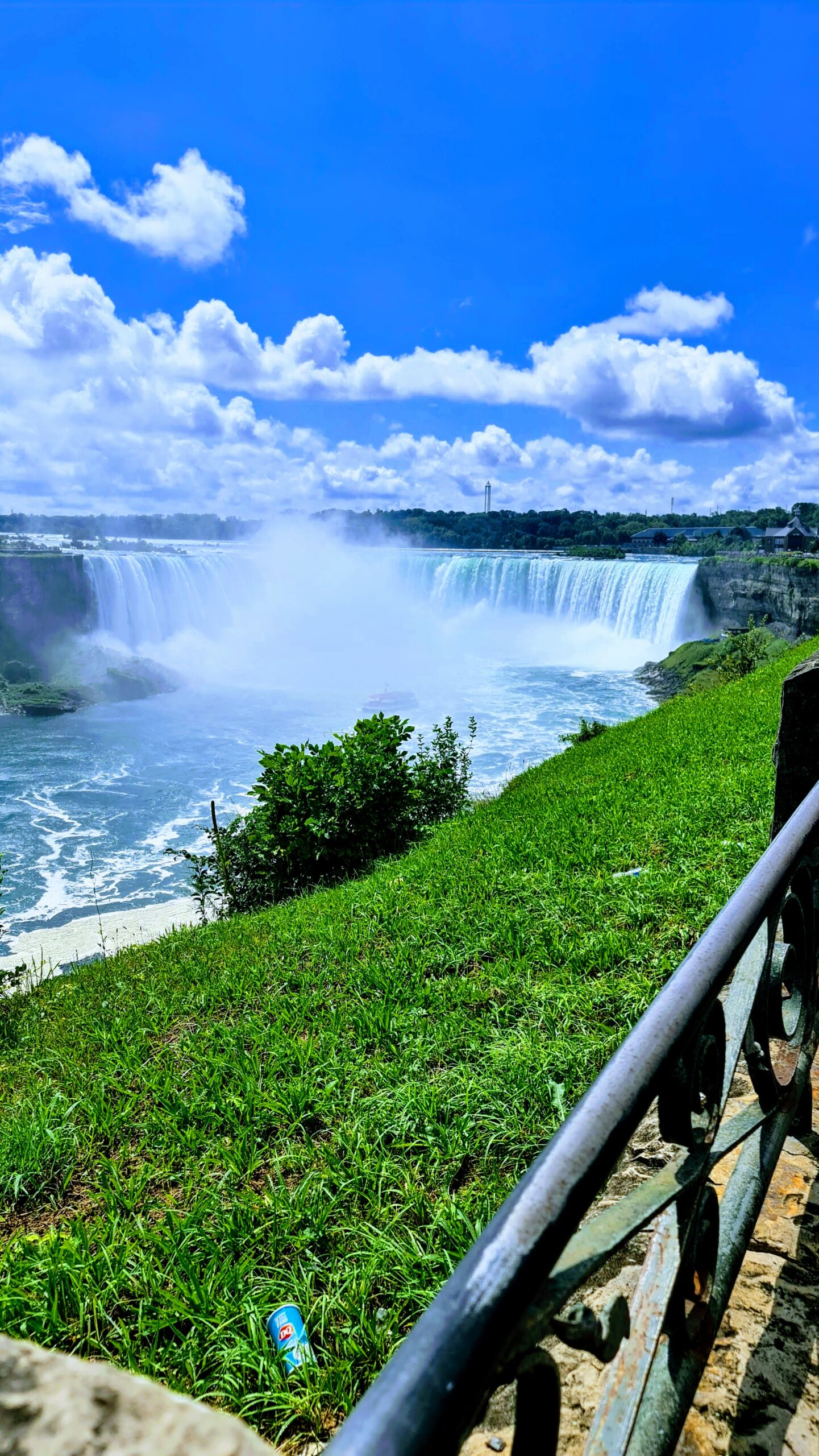 20240818_120427-EFFECTS