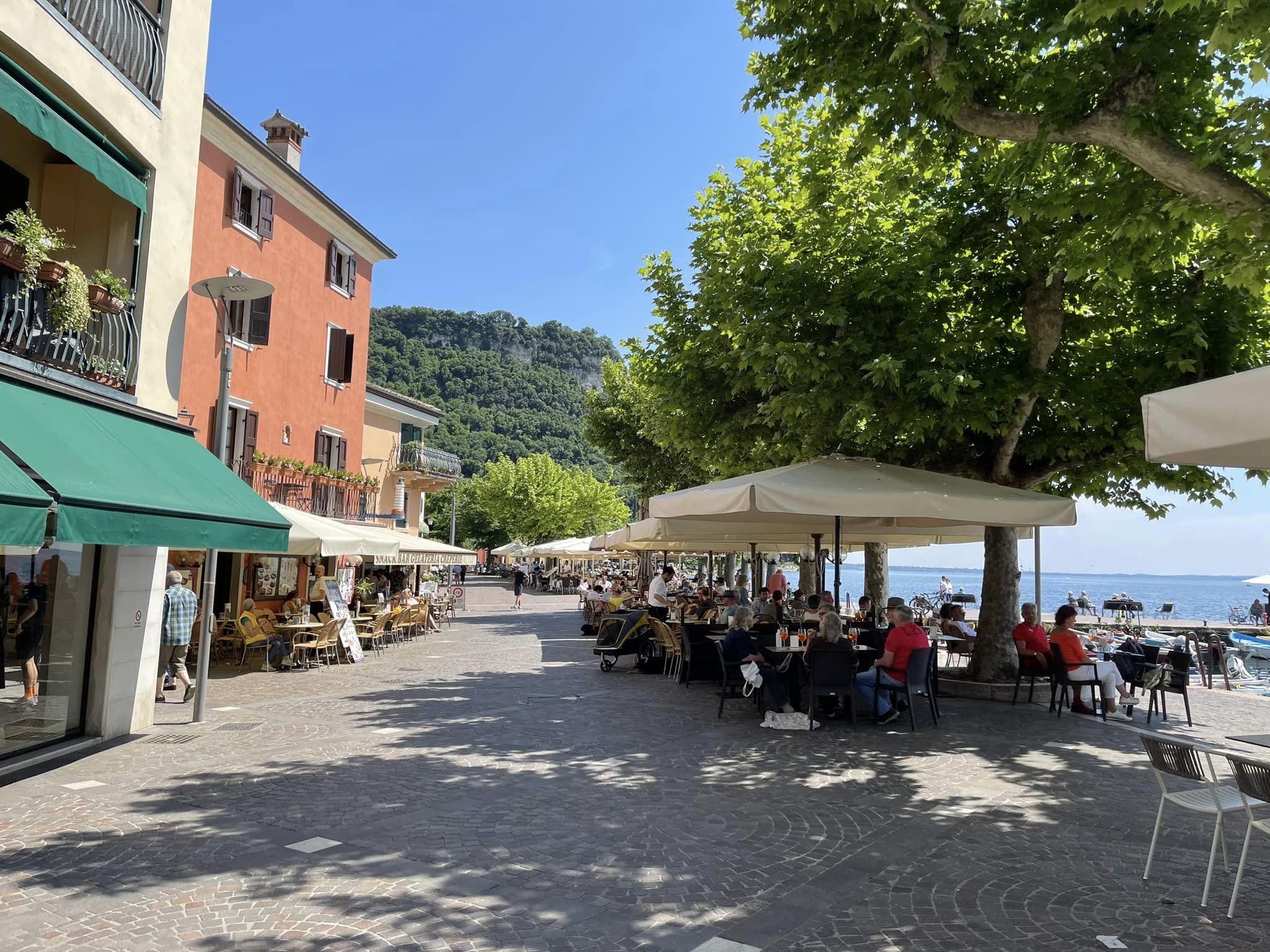 349192299_235852725723352_1824765441375636049_n