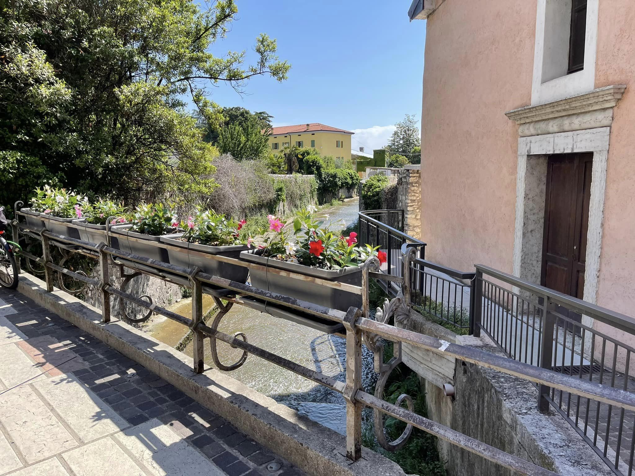 349325051_258869410136964_5635627060994407990_n