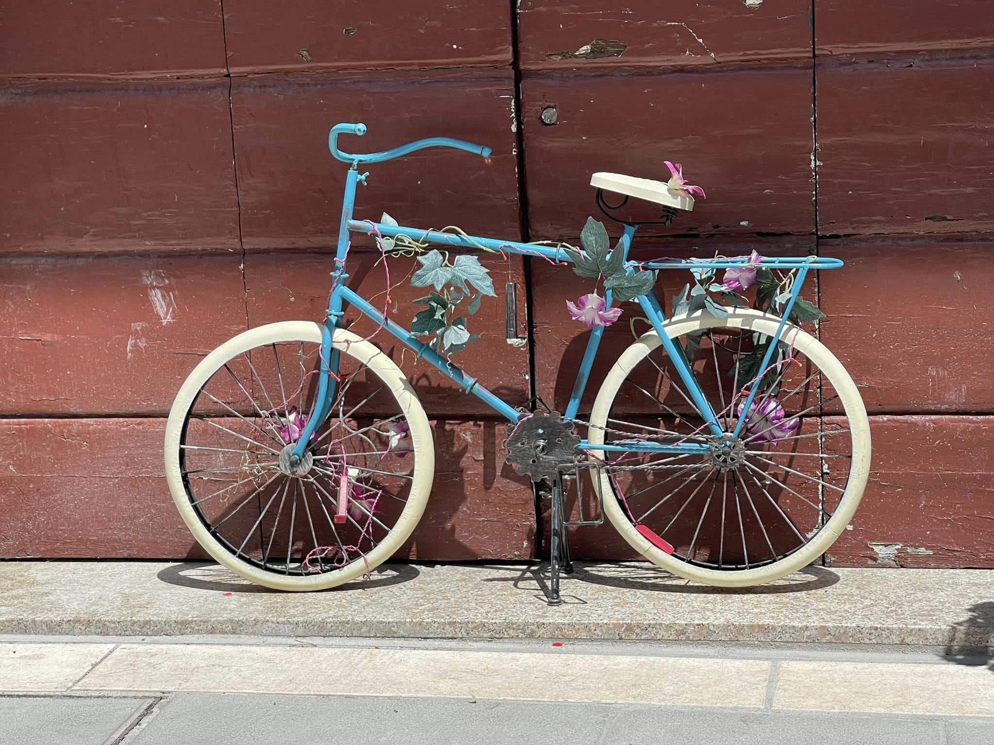 349625596_1314810139104912_2535799259086824674_n