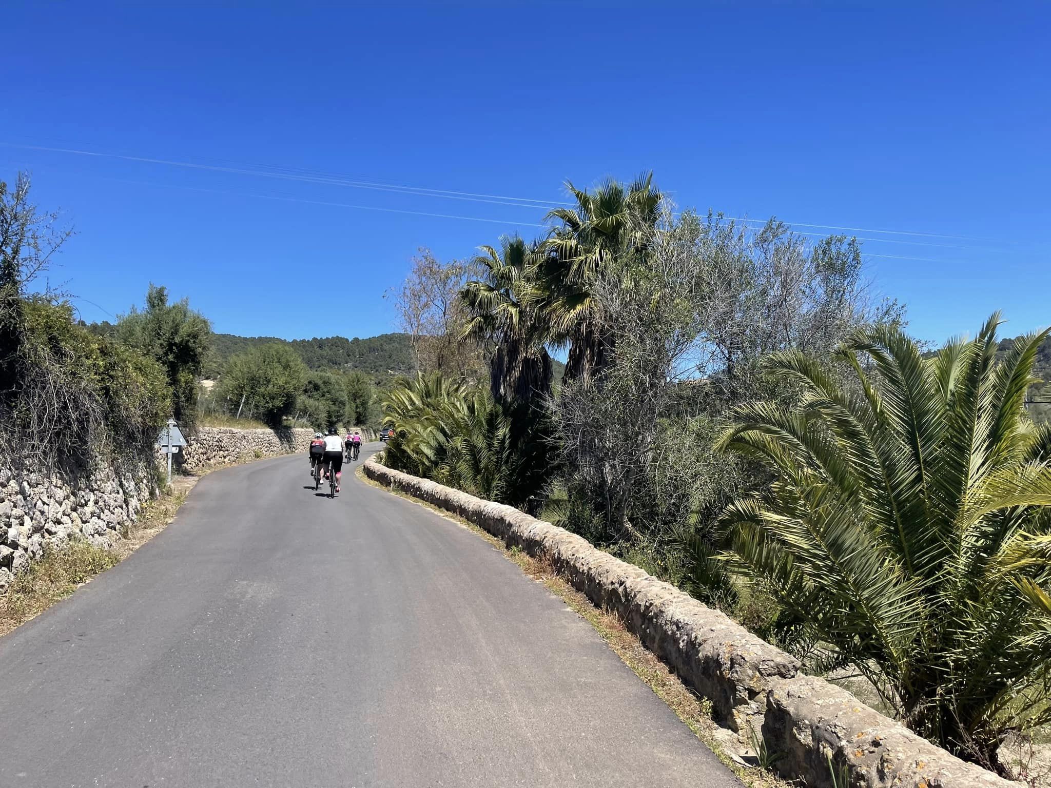 437154166_735143008776691_6247739487873397959_n