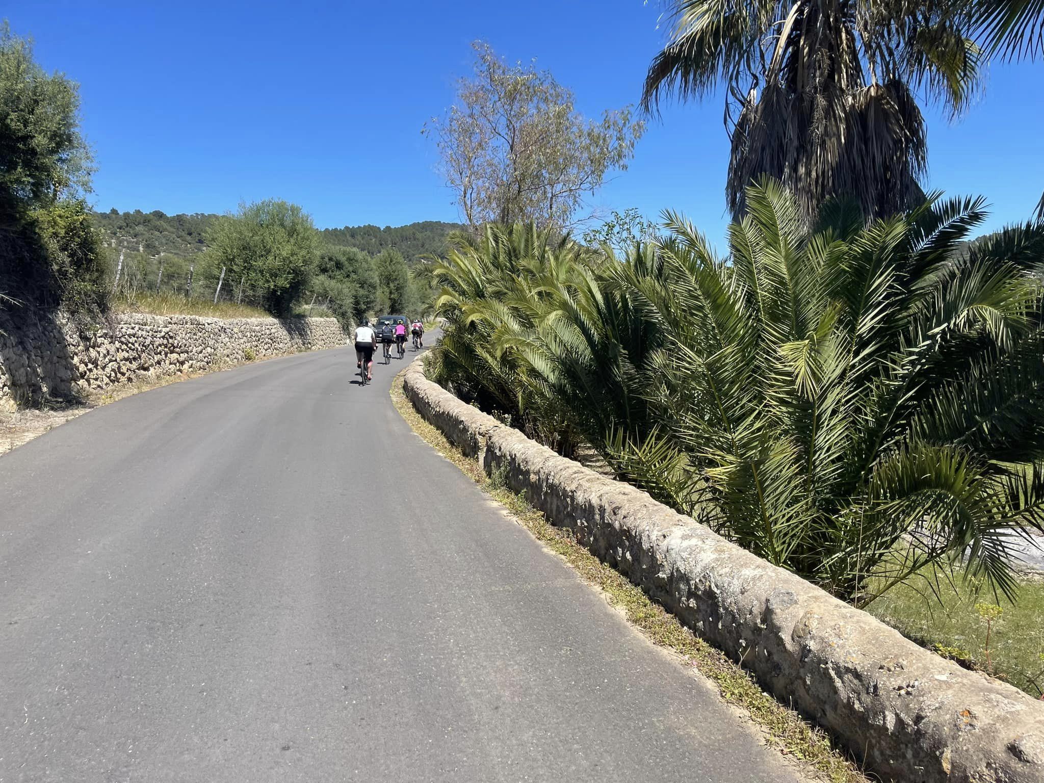 437953603_735143075443351_345909103059955967_n