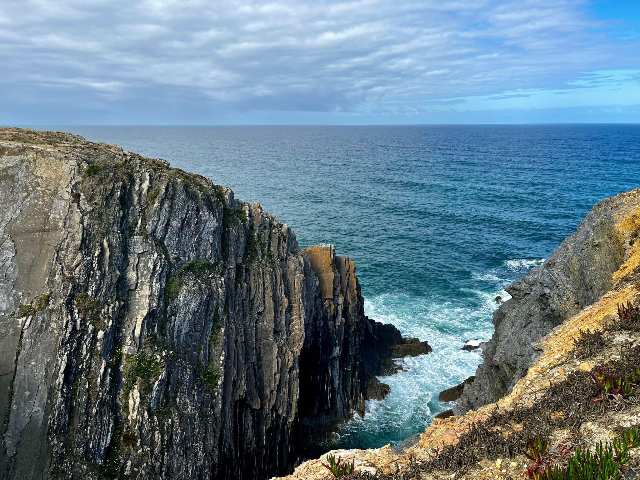 443714103_749629987327993_2668132818537601428_n