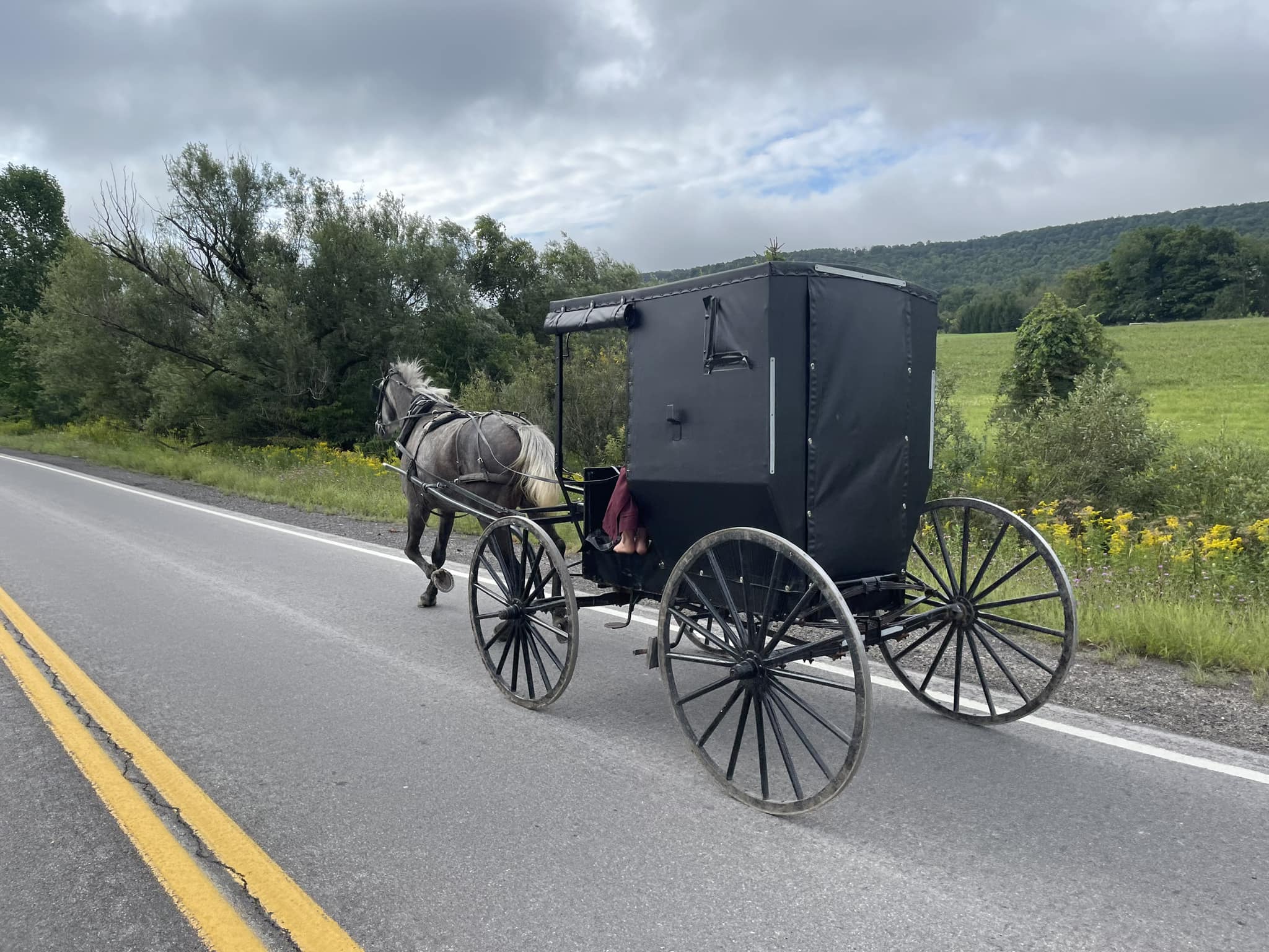 456570232_808422251448766_2341816904259569529_n