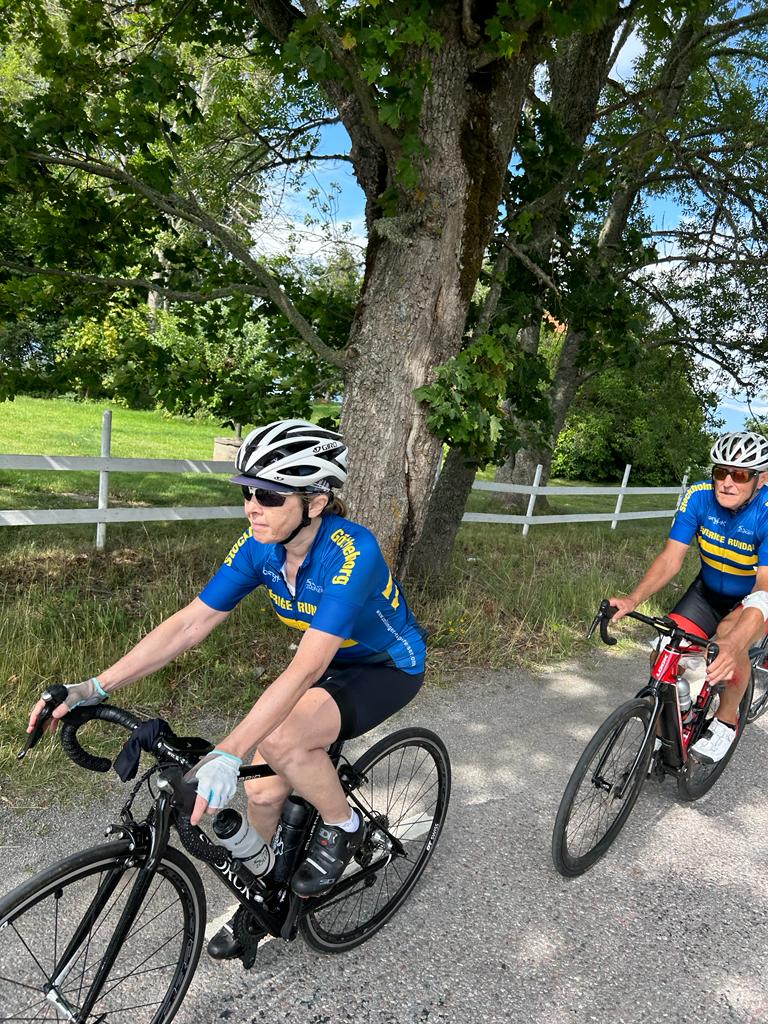 bef74a26-0ab6-4d81-9152-208ce7cd608a