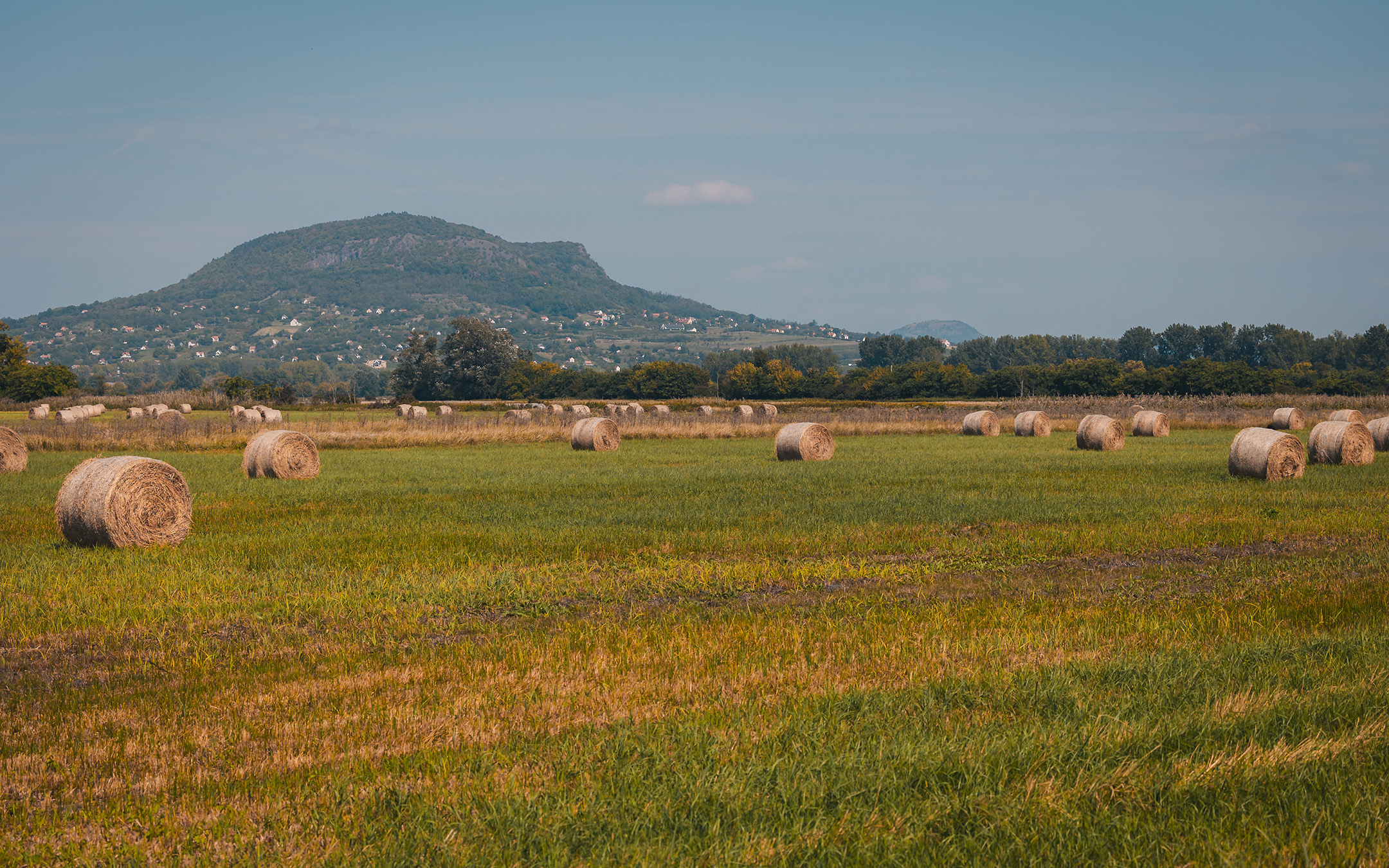 Budapest 2025 photos_ (120 of 246)